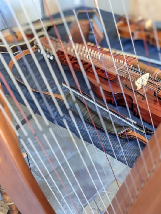 Verlene's instruments